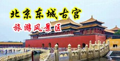 嗯啊插的好爽视频中国北京-东城古宫旅游风景区